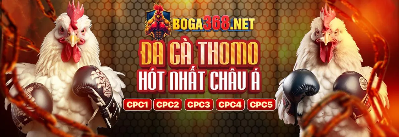 Chương Trình VIP Độc Quyền S999