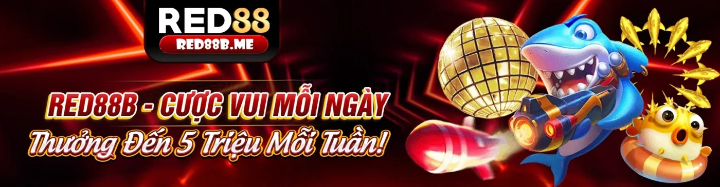 Hình ảnh tổng quan về s999 đăng nhập - nền tảng cá cược trực tuyến hàng đầu