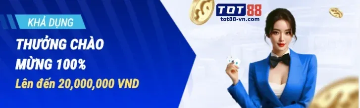 Chương trình VIP S999